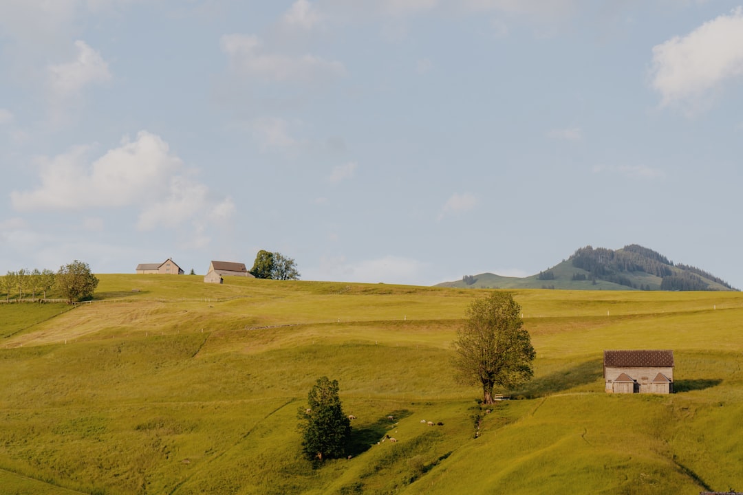 Photo Brăila County