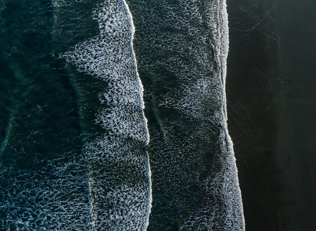 Photo Tourist Attractions Galați