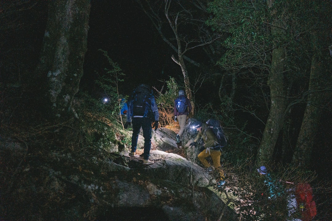 Photo hiking trails
