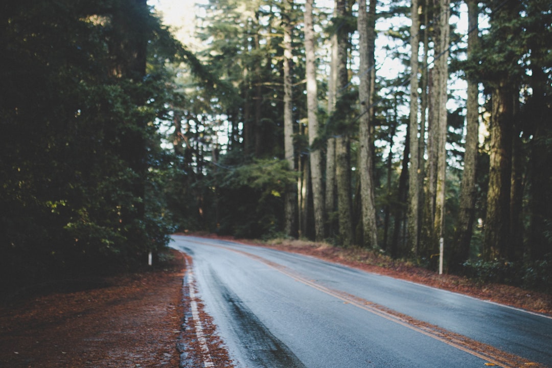 Photo beauty of unknown roads