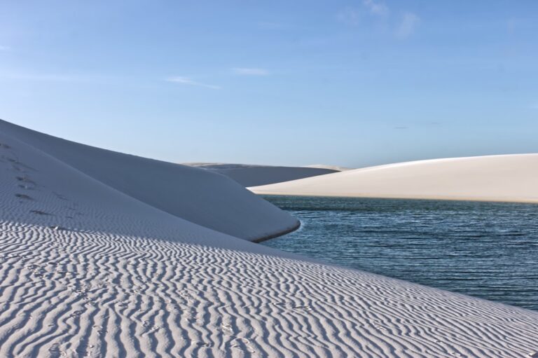 Cum să explorezi Delta Dunării cu barca