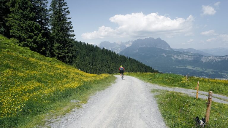 Cele mai bune trasee de cicloturism montan
