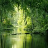 Photo landscape photography