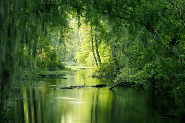 Photo landscape photography