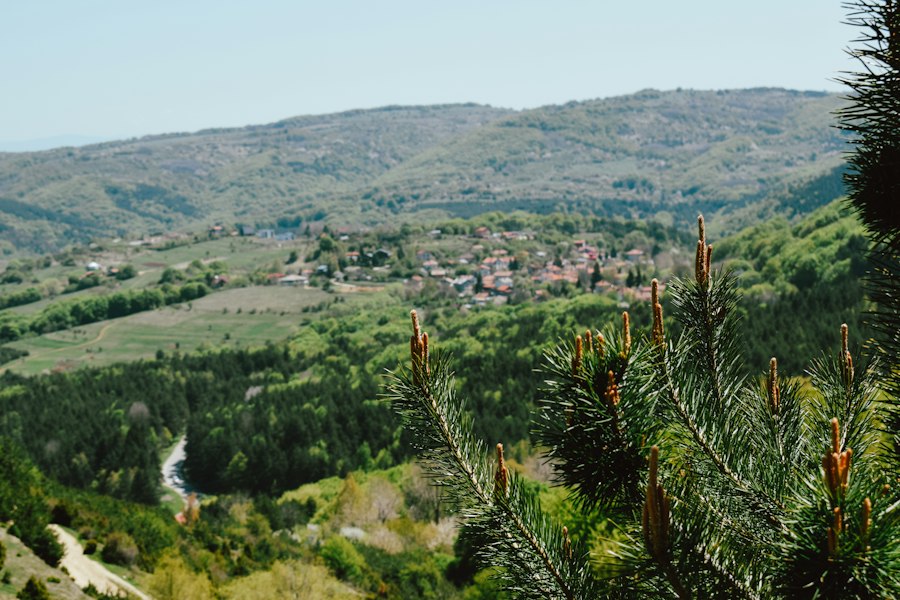 Photo vacanțe