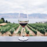 Photo wine and gastronomy