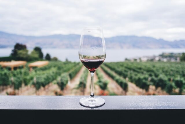 Photo wine and gastronomy