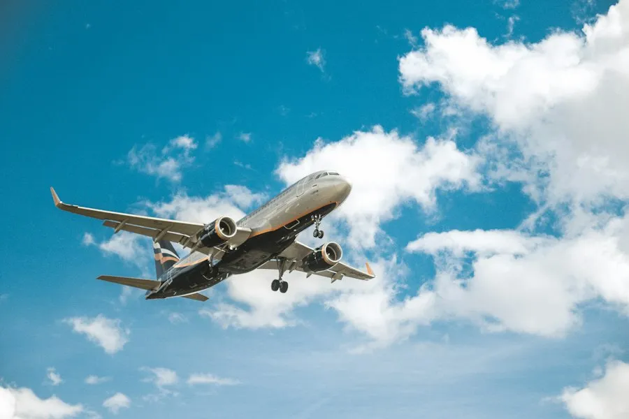 Photo flight information guide