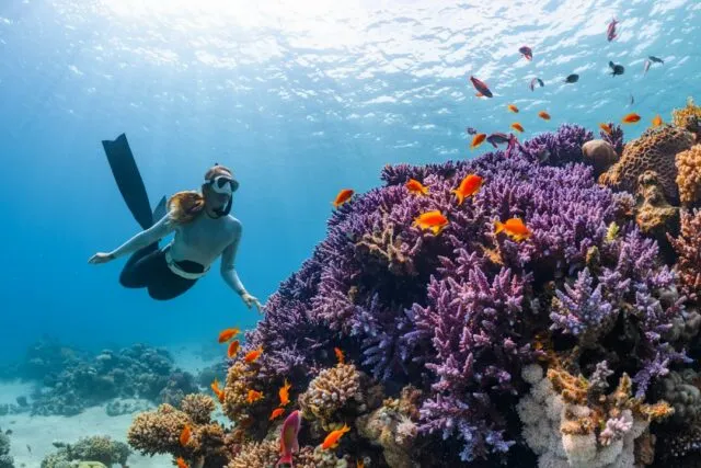 Photo best diving snorkeling destinations world